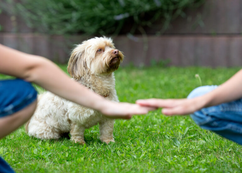 Fotoreportagen für soziale Träger